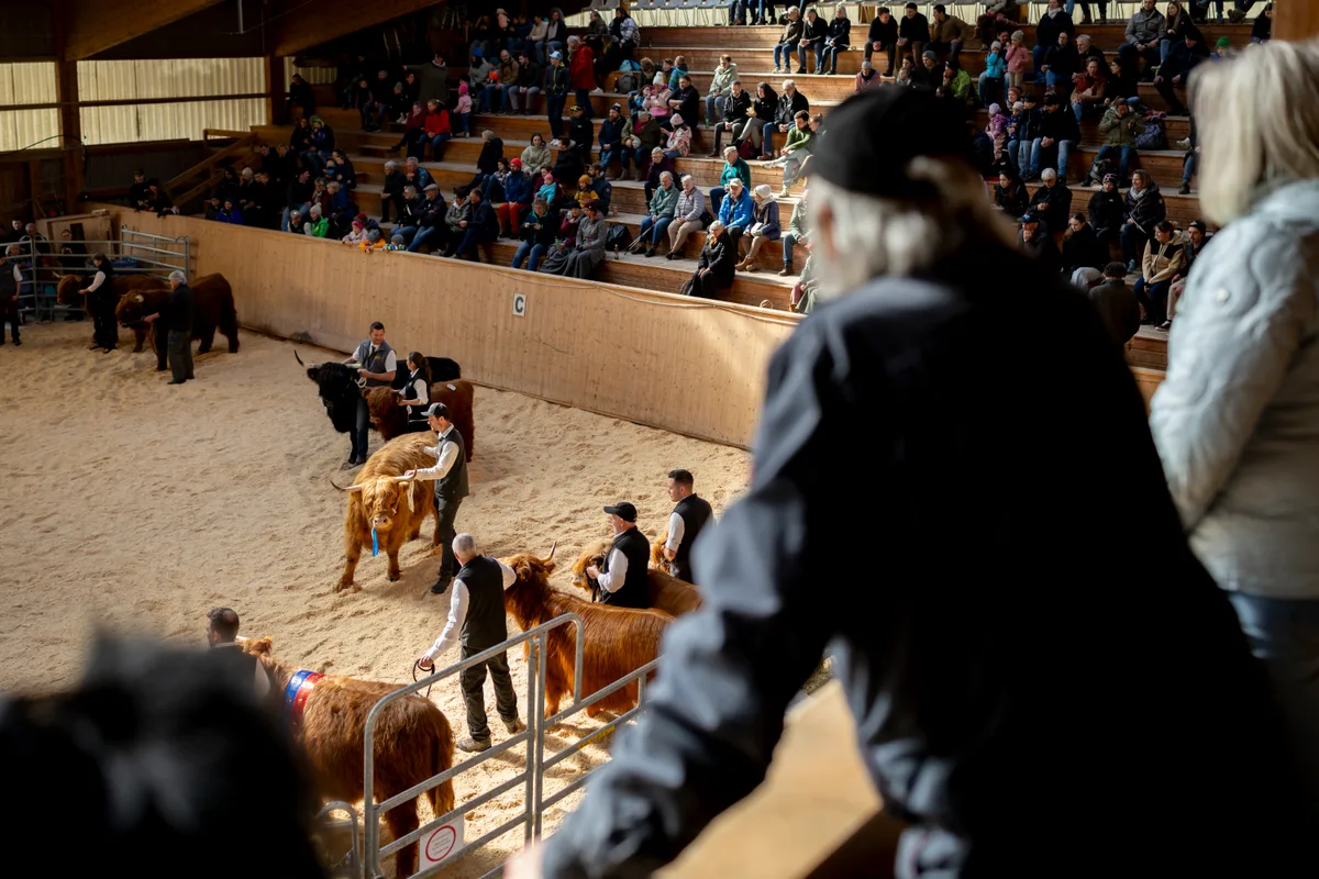 Man sieht volle Zuschauerränge.